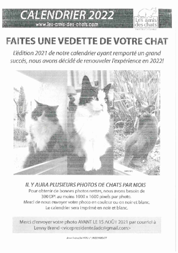 affiche chat calendrier